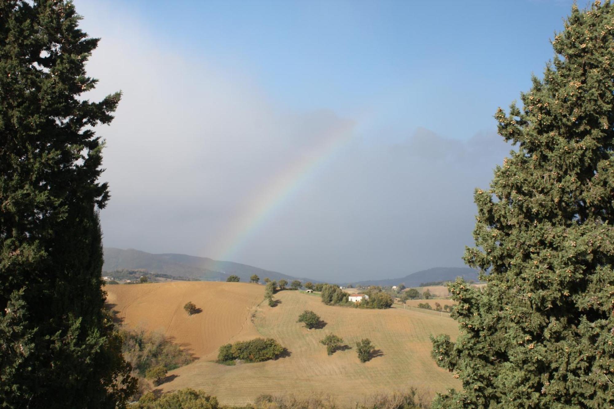 Agriturismo La Corte Sul Lago Alojamento de Turismo Rural *
