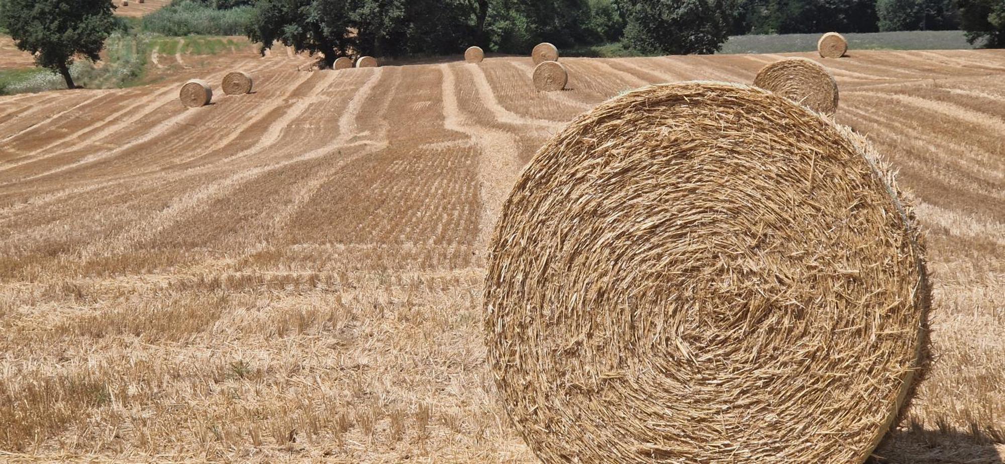 Alojamento de Turismo Rural La Corte Sul