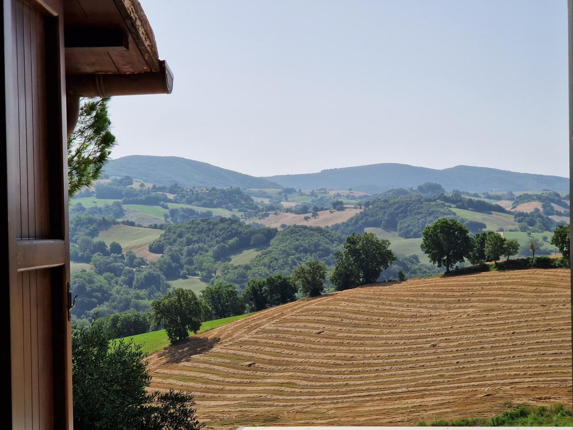 Bauernhof La Corte Sul Cingoli