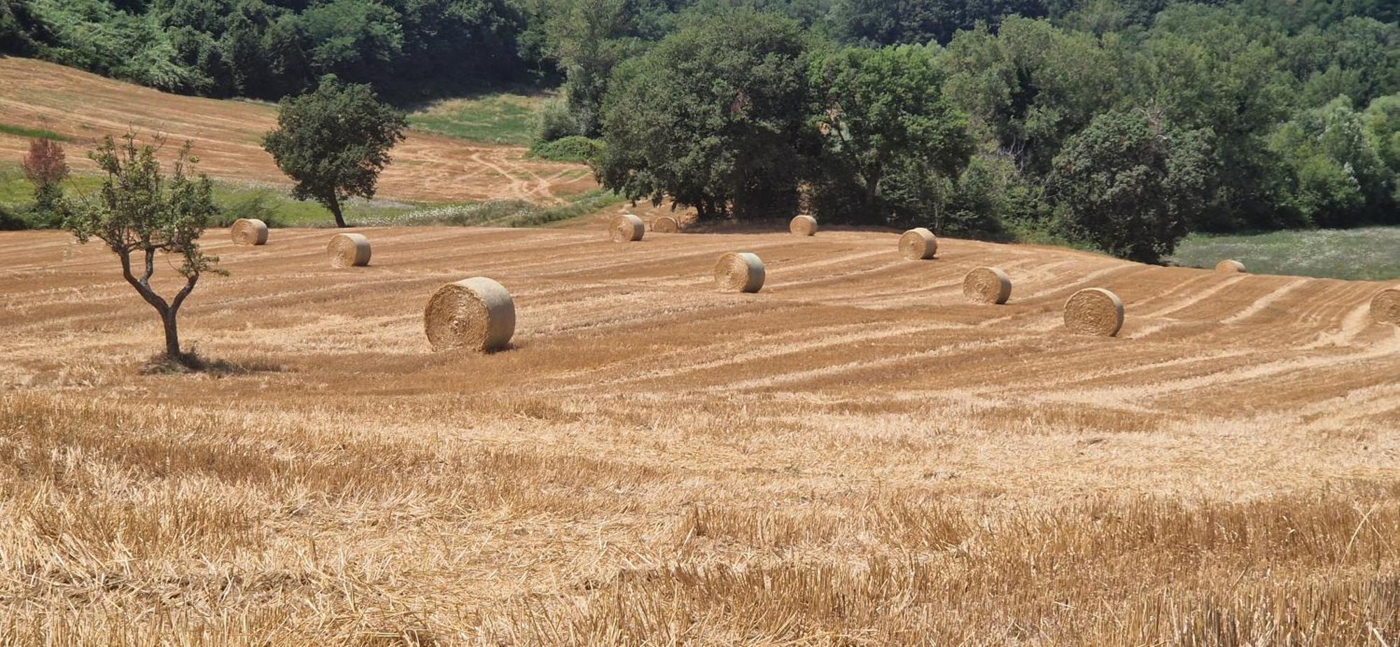 La Corte Sul Cingoli
