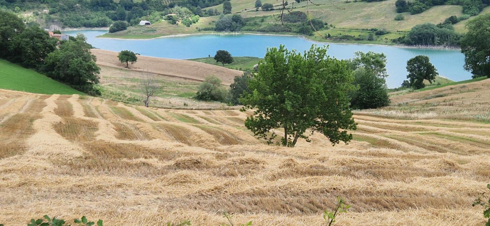 La Corte Sul * Cingoli