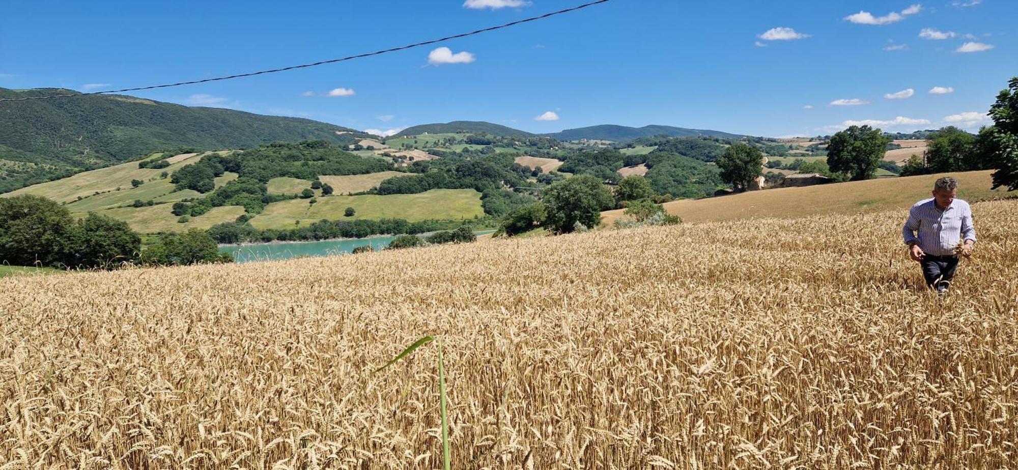 La Corte Sul Bauernhof