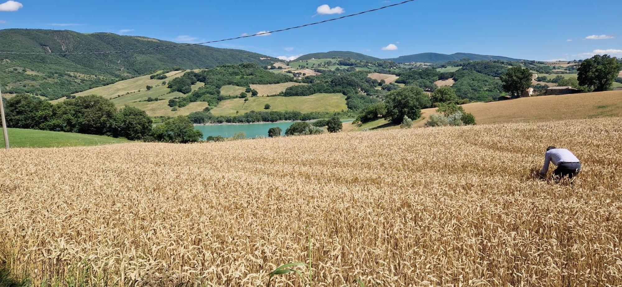 La Corte Sul Bauernhof Cingoli